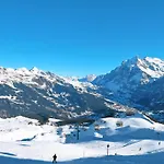 Bachsbort 14 By Interhome Apartman Grindelwald