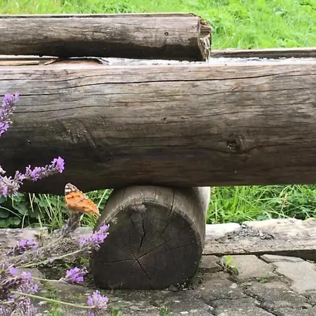 Bachsbort 14 By Interhome Lejlighed *