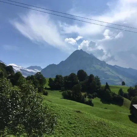 Bachsbort 14 By Interhome Apartman Grindelwald