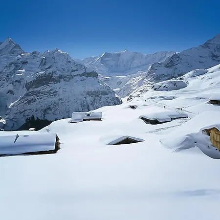 Bachsbort 14 By Interhome * Grindelwald
