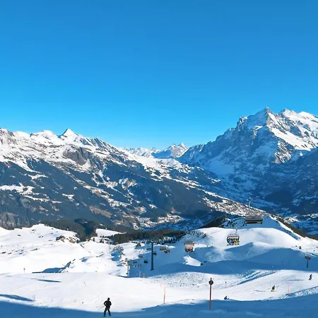 Bachsbort 14 By Interhome Apartament Grindelwald