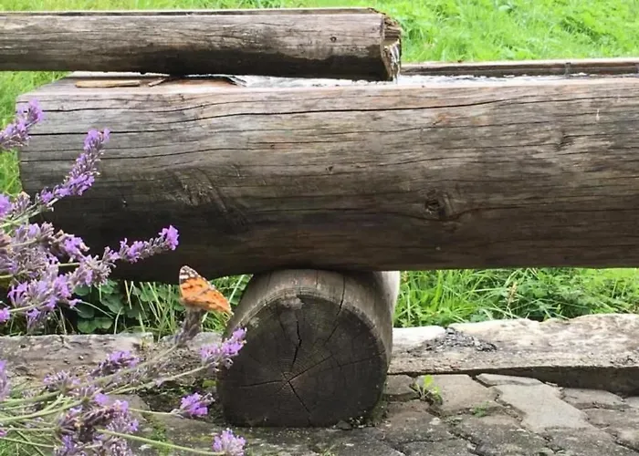 Bachsbort 14 By Interhome Lejlighed *