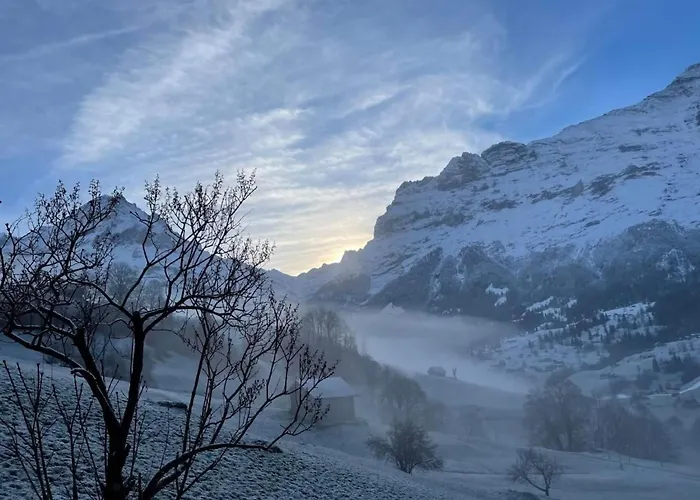 Lejlighed Bachsbort 14 By Interhome